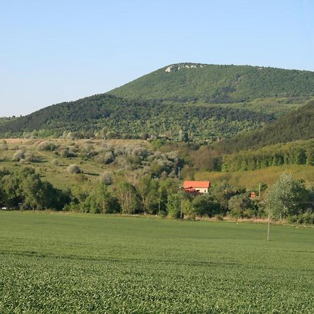 Penzion Malomdulo Farmhaz Pilisborosjenő Exteriér fotografie