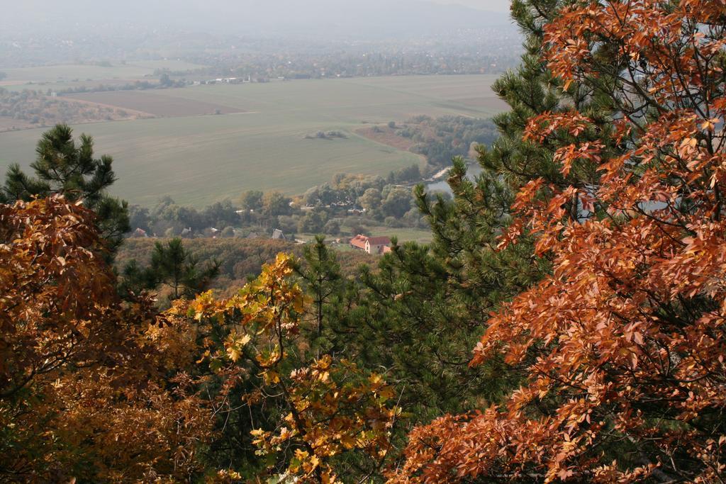 Penzion Malomdulo Farmhaz Pilisborosjenő Exteriér fotografie