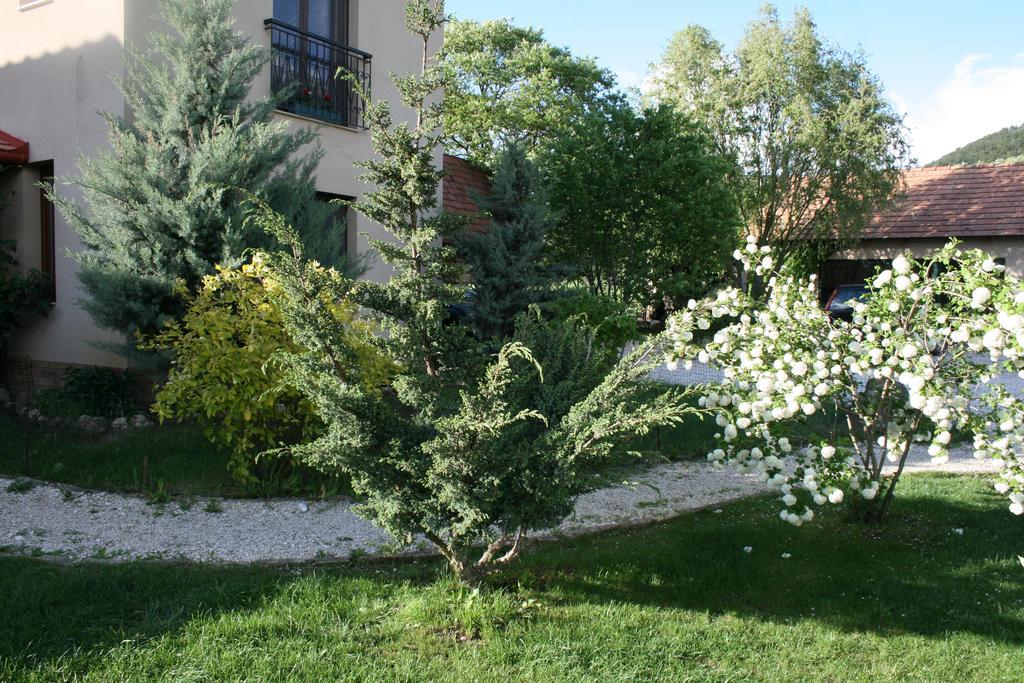 Penzion Malomdulo Farmhaz Pilisborosjenő Exteriér fotografie