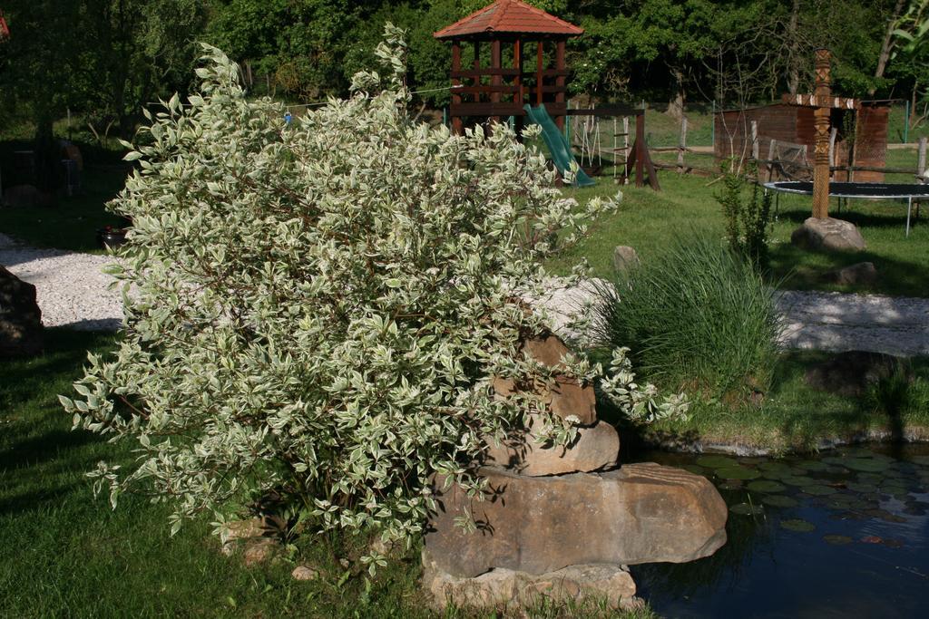 Penzion Malomdulo Farmhaz Pilisborosjenő Exteriér fotografie