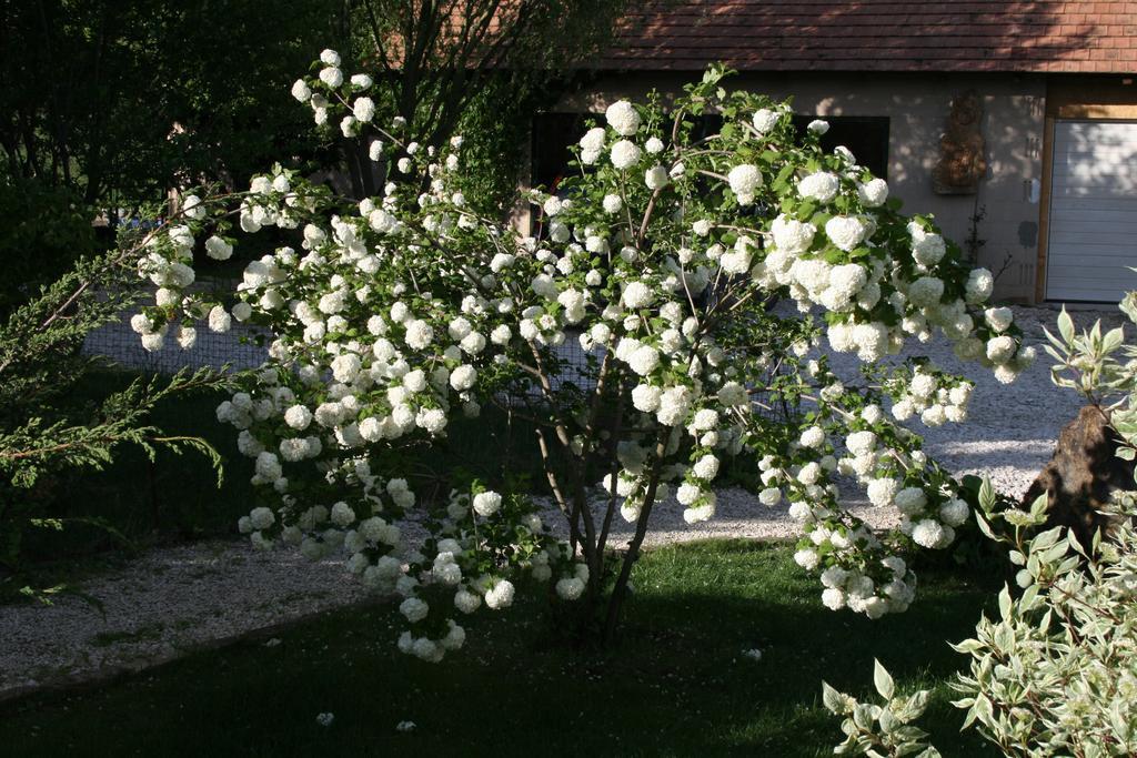 Penzion Malomdulo Farmhaz Pilisborosjenő Exteriér fotografie