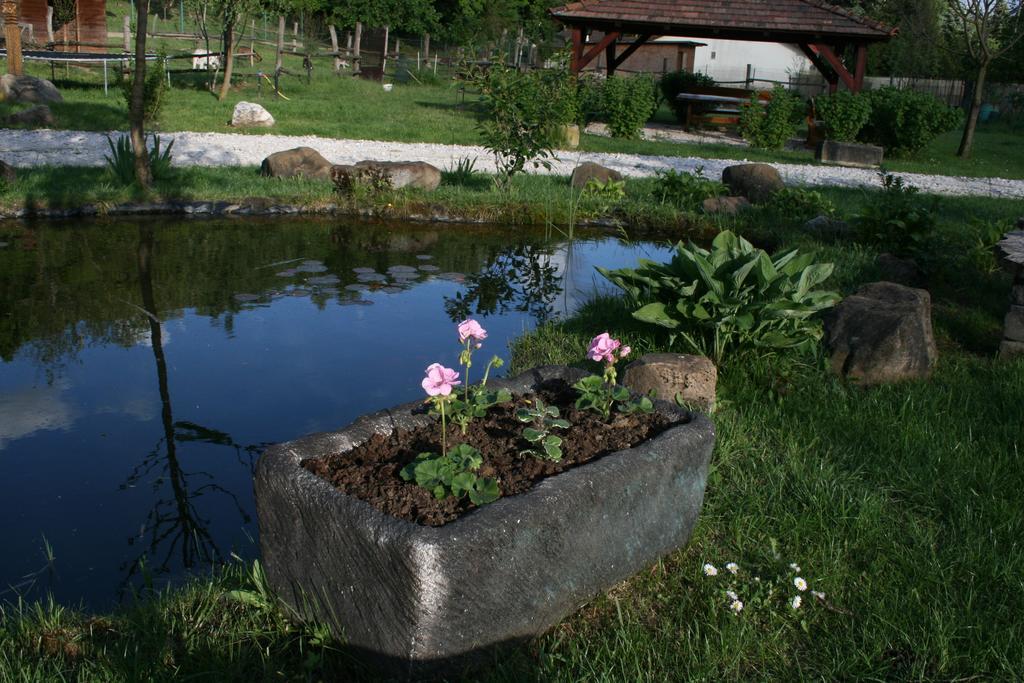 Penzion Malomdulo Farmhaz Pilisborosjenő Exteriér fotografie