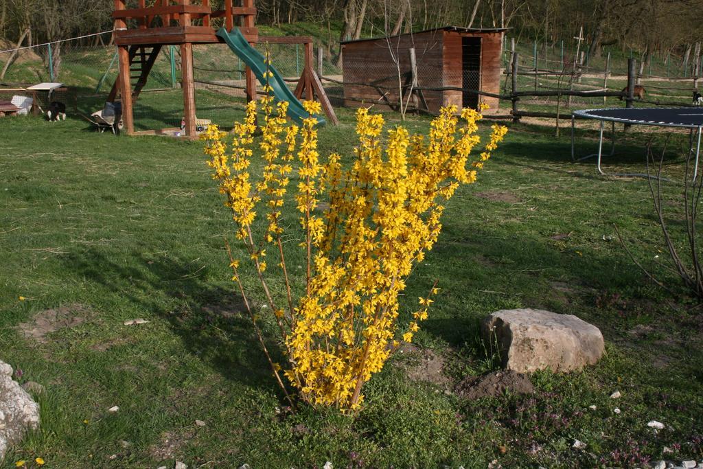 Penzion Malomdulo Farmhaz Pilisborosjenő Exteriér fotografie