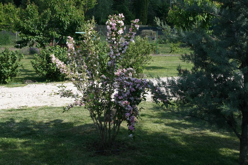 Penzion Malomdulo Farmhaz Pilisborosjenő Exteriér fotografie