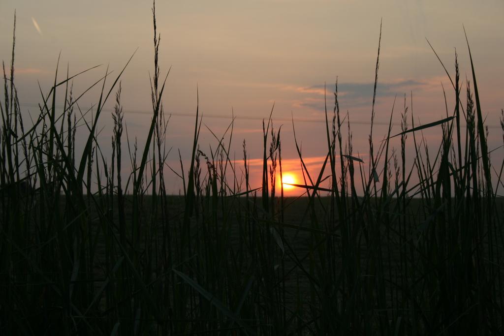 Penzion Malomdulo Farmhaz Pilisborosjenő Exteriér fotografie